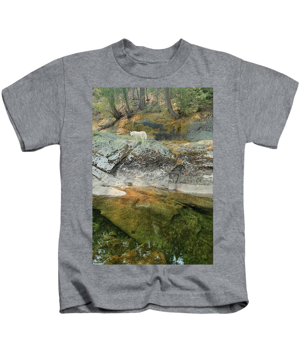 Sierra Nevada Kids T-Shirt featuring the photograph Sekani Summer Stream by Sean Sarsfield