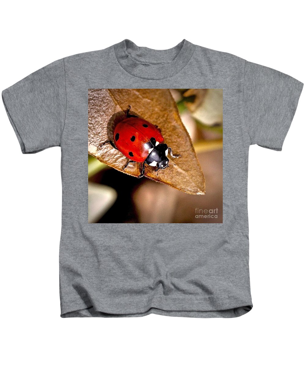 Squer Kids T-Shirt featuring the photograph Seven Point Ladybug by Elisabeth Derichs