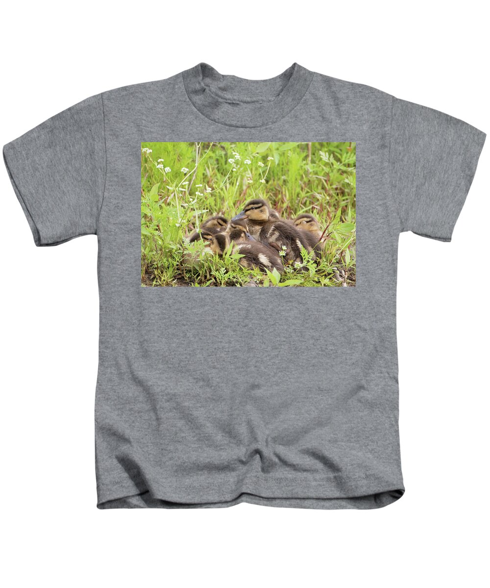 Duck Kids T-Shirt featuring the photograph Sleepy Ducklings by Eilish Palmer