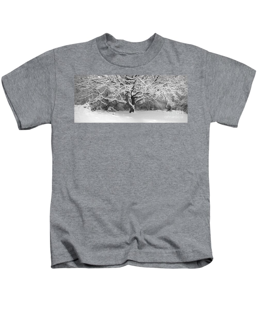 Snow Dusted Tree Kids T-Shirt featuring the photograph Snow dusted tree by Paul Davenport
