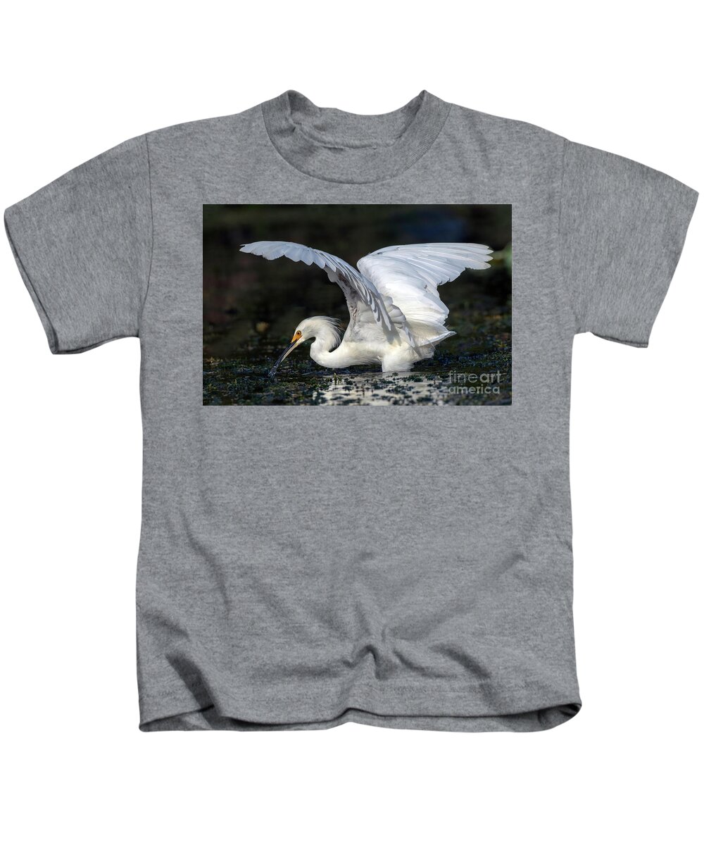 Birds Kids T-Shirt featuring the photograph Snowy Egret Fishing by DB Hayes