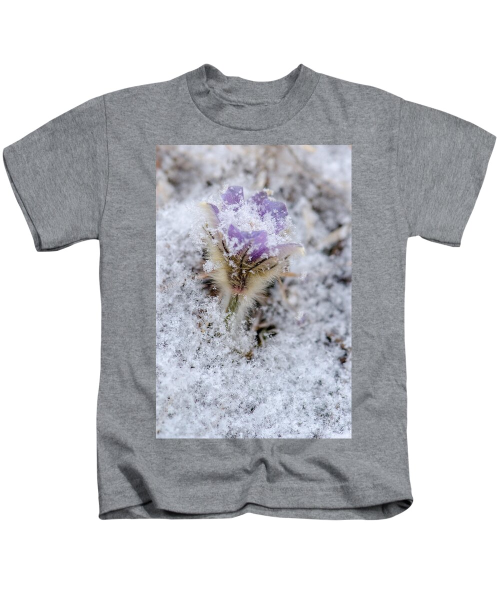 Dakota Kids T-Shirt featuring the photograph Snowy Pasqueflower Morning by Greni Graph