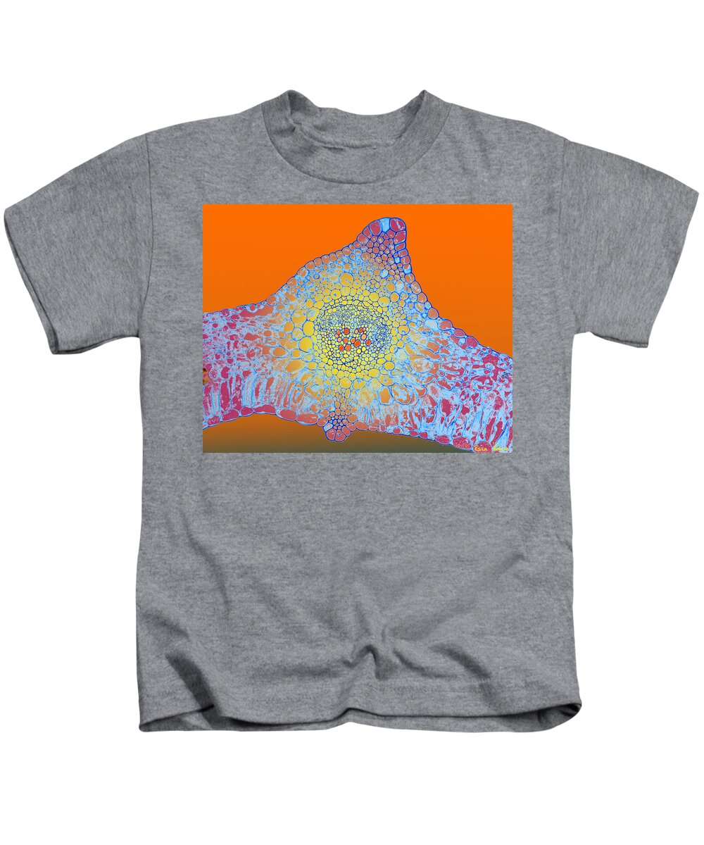 Microscopic Abstract Kids T-Shirt featuring the photograph Solar Cells by Rein Nomm