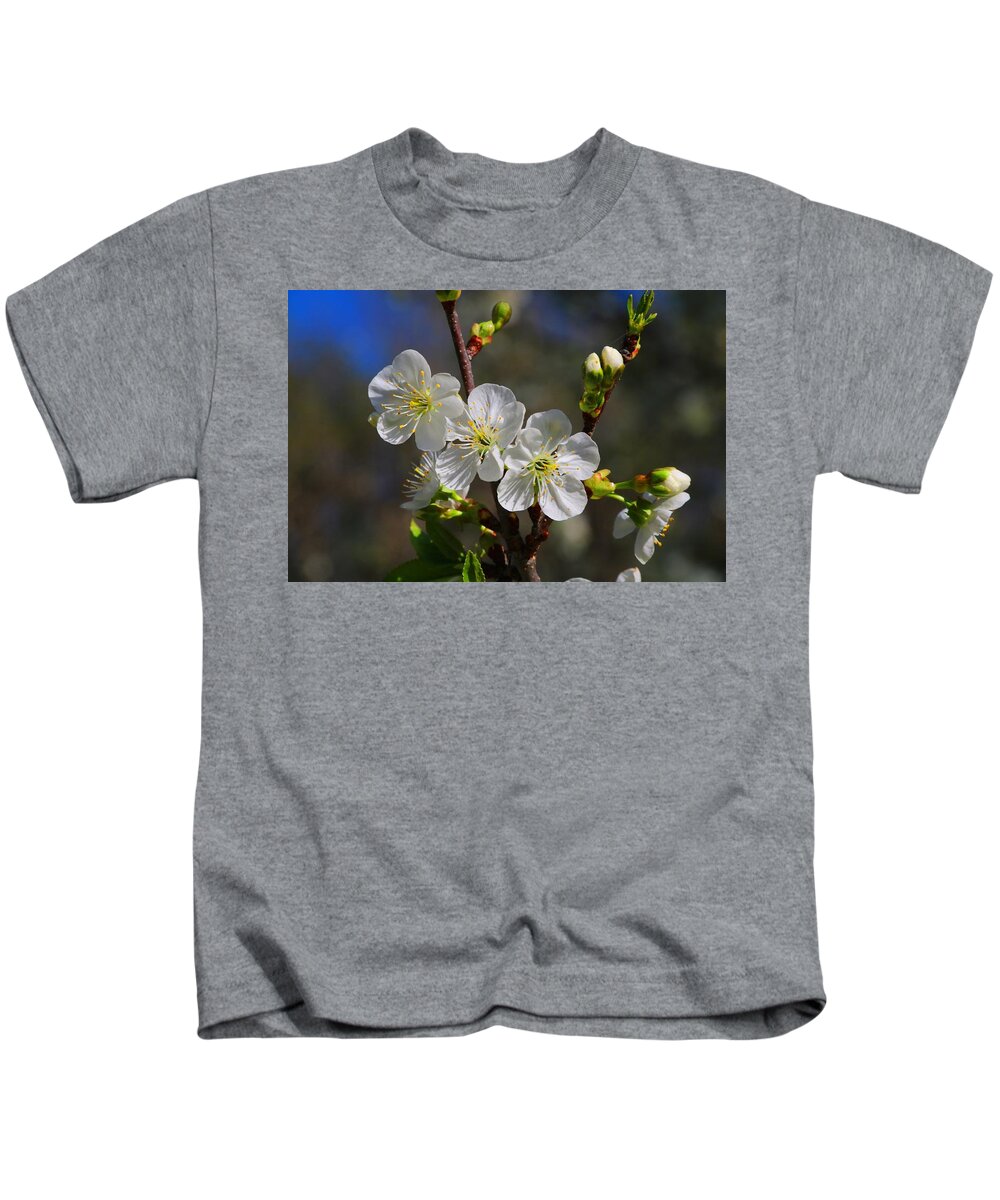 Sour Cherry Blossoms Kids T-Shirt featuring the photograph Sour Cherry Blossoms by Kathryn Meyer