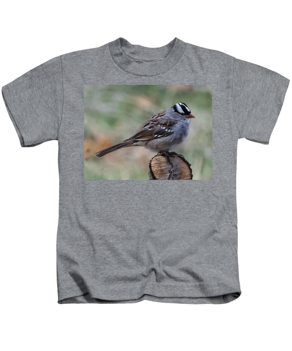 Jan Holden Kids T-Shirt featuring the photograph Sparrow   by Holden The Moment