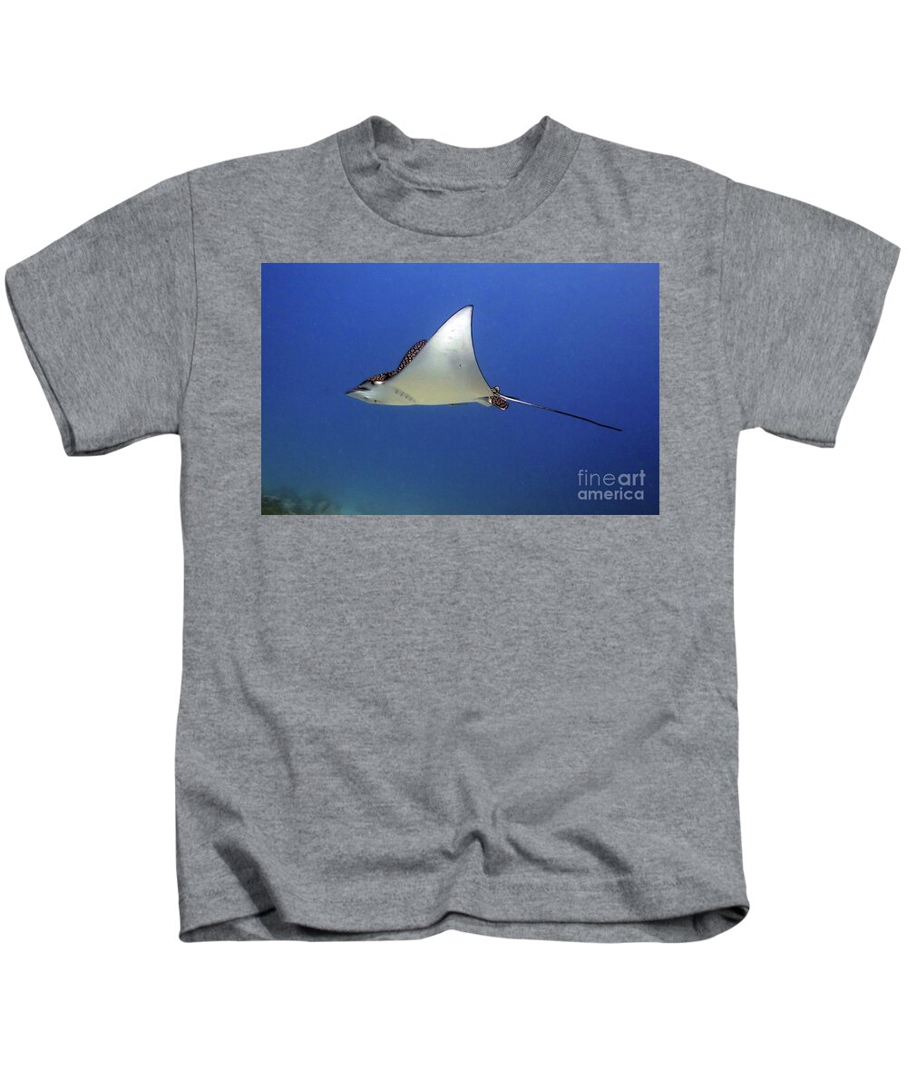 Underwater Kids T-Shirt featuring the photograph Spotted Eagle Ray by Daryl Duda