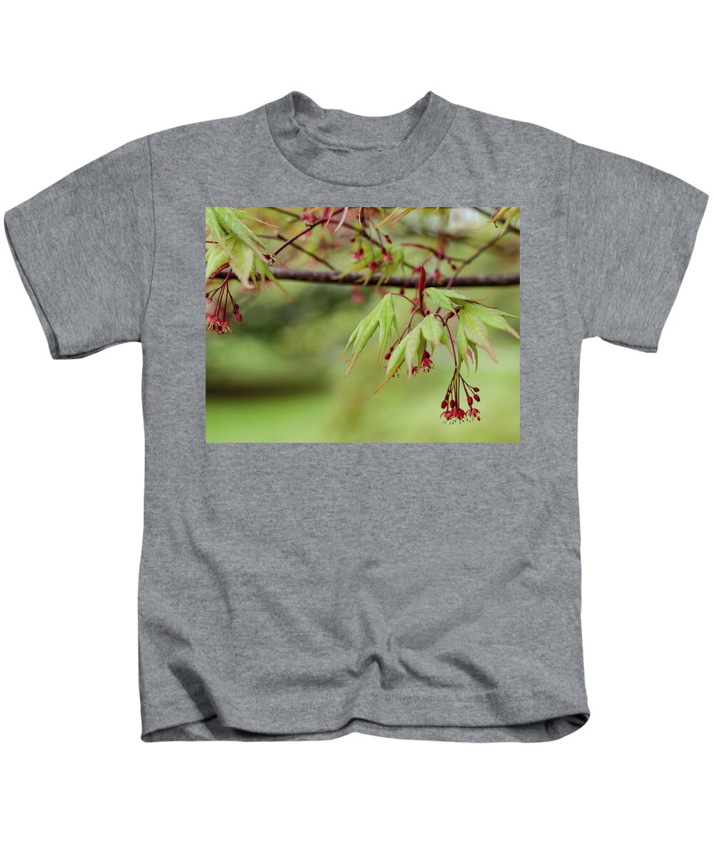 Spring Kids T-Shirt featuring the photograph Spring Blossoms by Holly Ross