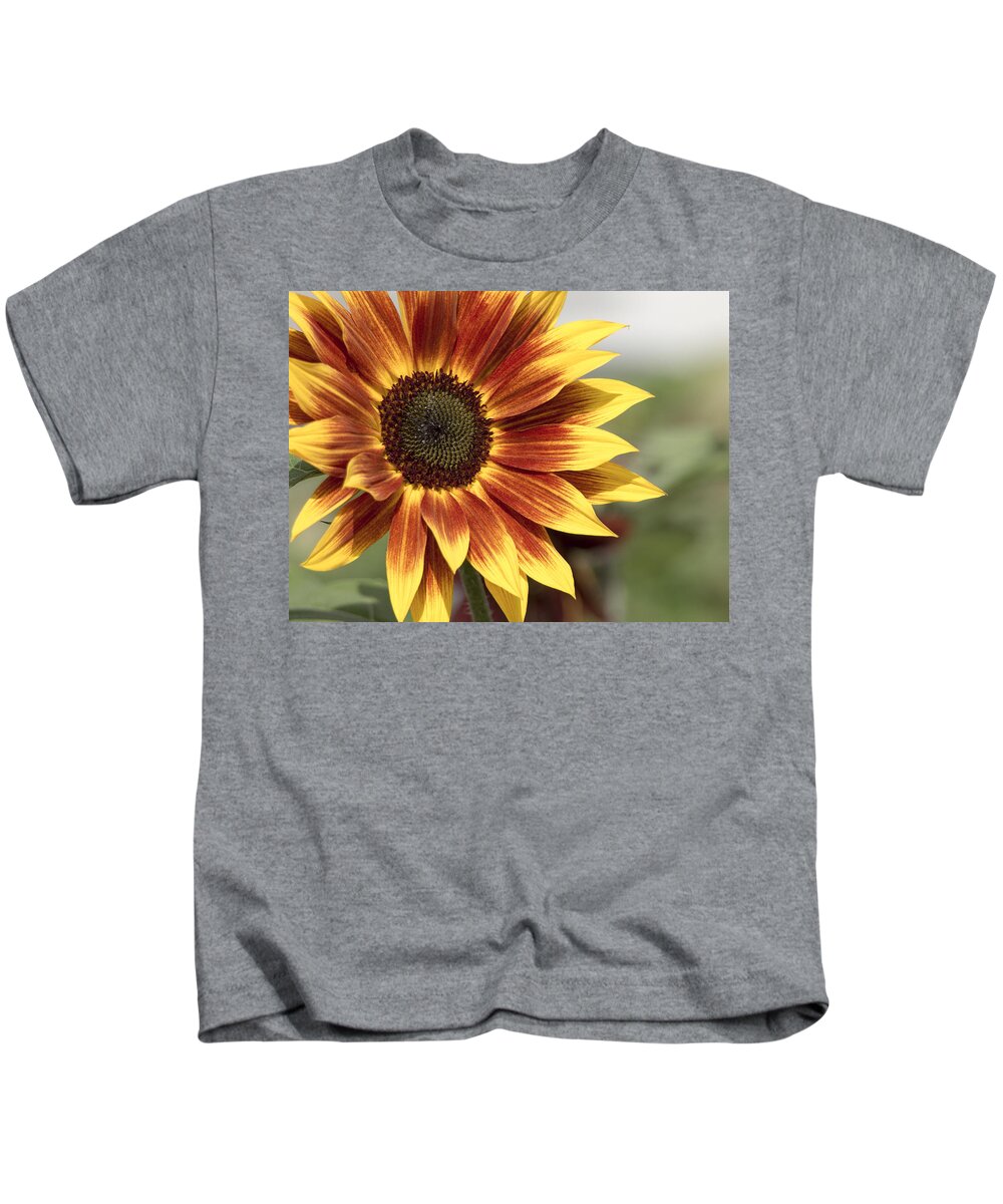 Sunflower Kids T-Shirt featuring the photograph Sunflower by Ed Clark