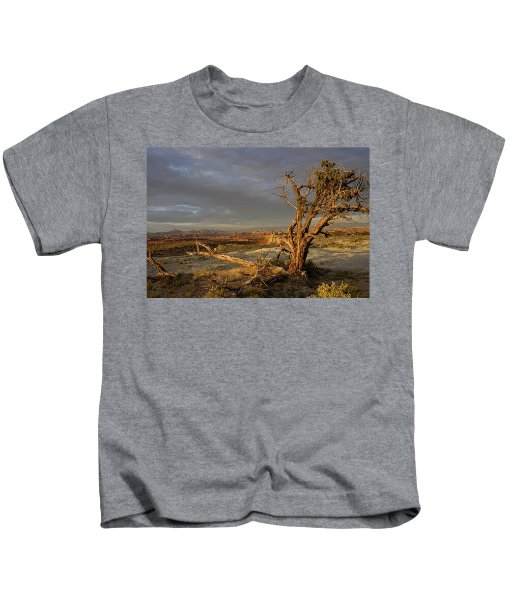 Landscape Kids T-Shirt featuring the photograph Survivor by DArcy Evans