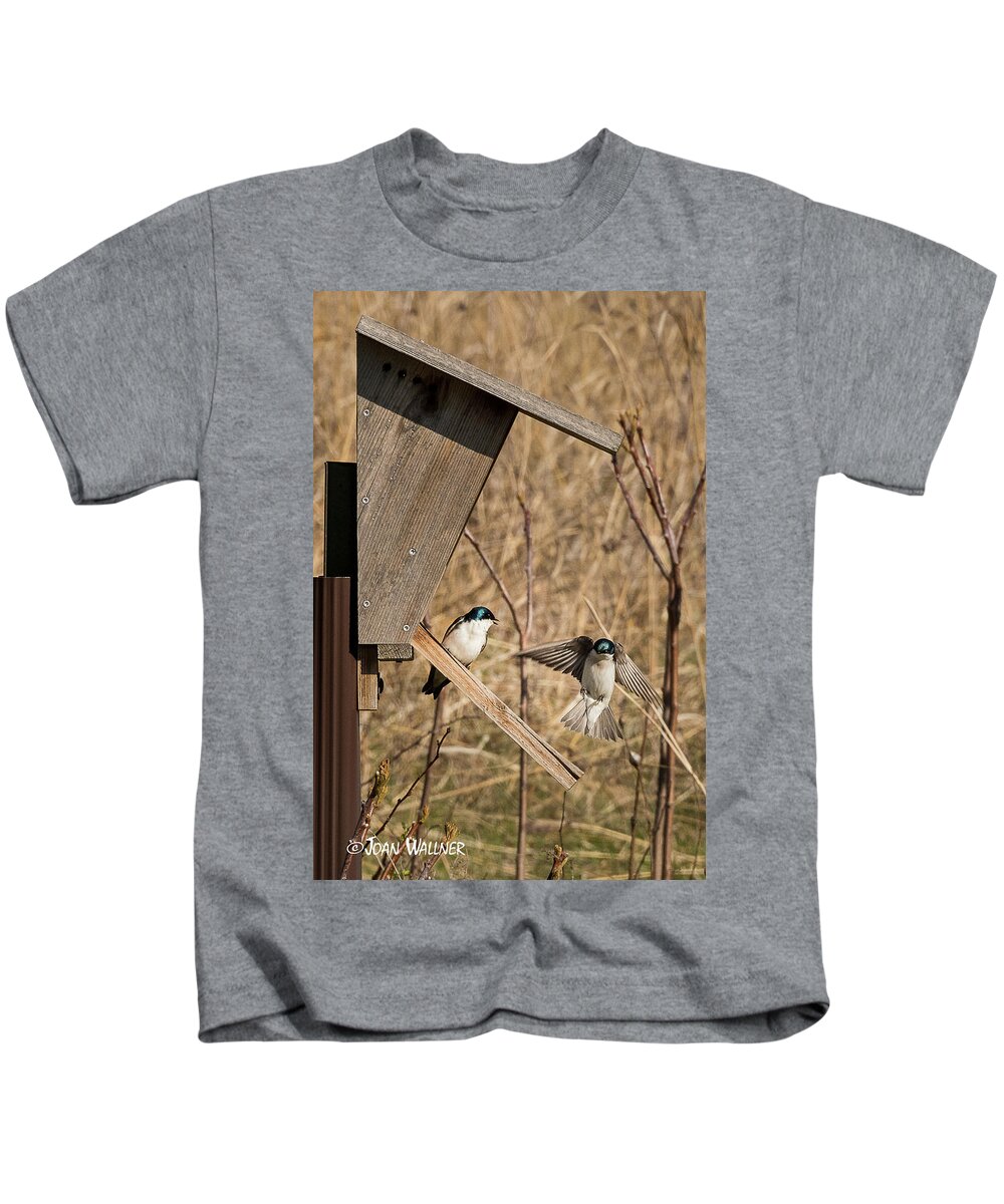 Mn Landscape Arboretum Kids T-Shirt featuring the photograph Swallow Landing by Joan Wallner