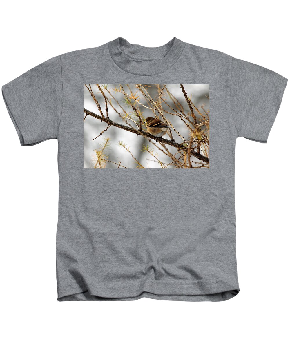Goldfinch Kids T-Shirt featuring the photograph Tamarack Visitor by Debbie Oppermann