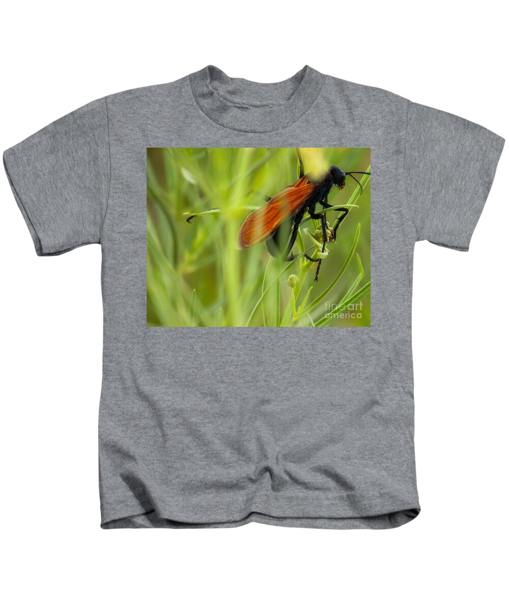 Tarantula Kids T-Shirt featuring the photograph Tarantula Hawk 1 by Christy Garavetto