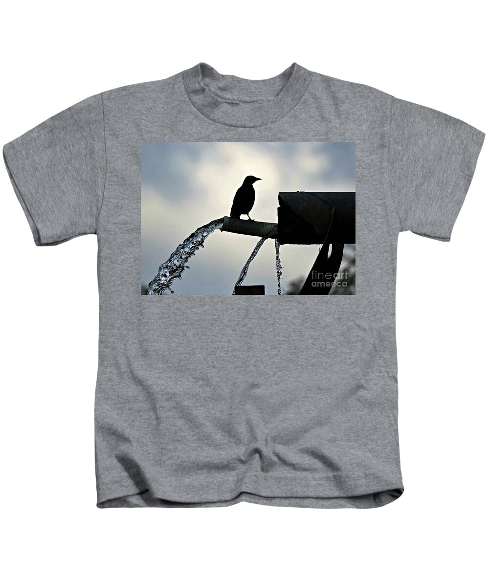 Bird Kids T-Shirt featuring the photograph The Convenient Bird Fountain by Diann Fisher