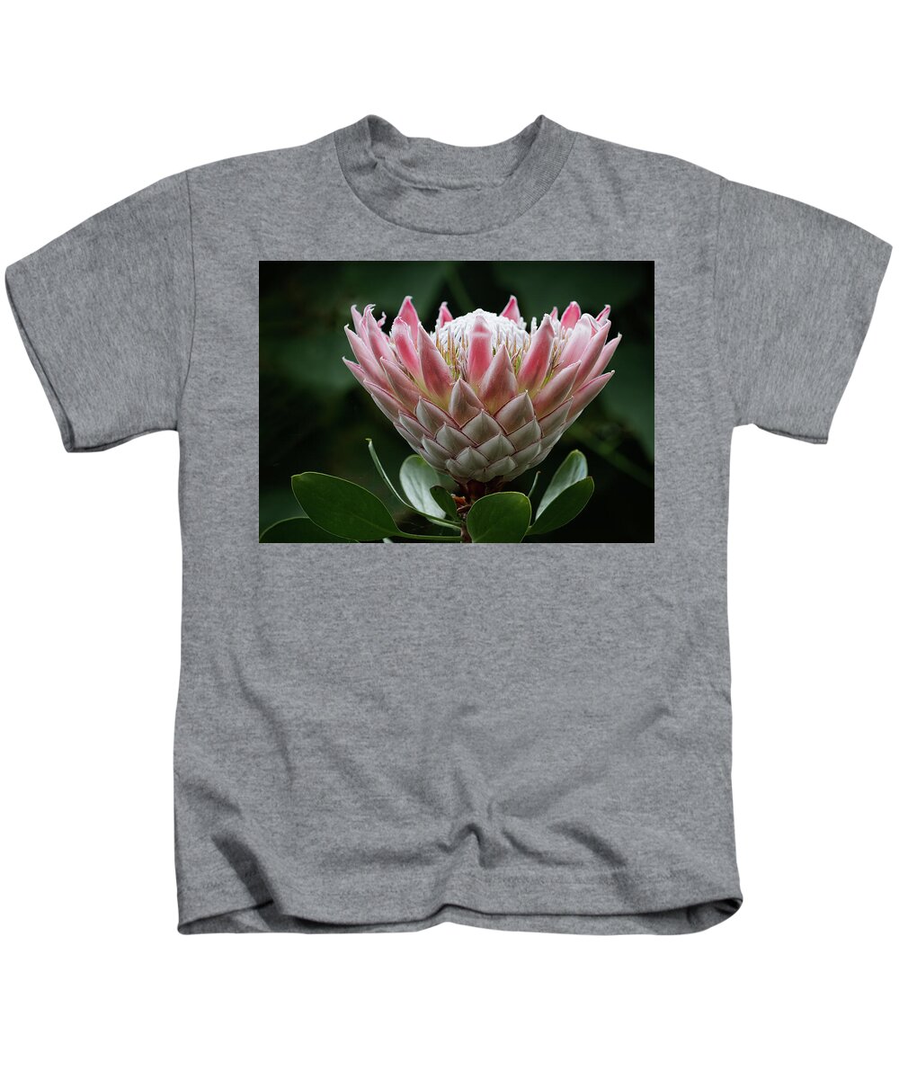 Protea Kids T-Shirt featuring the photograph The King of Proteas by Shirley Mitchell