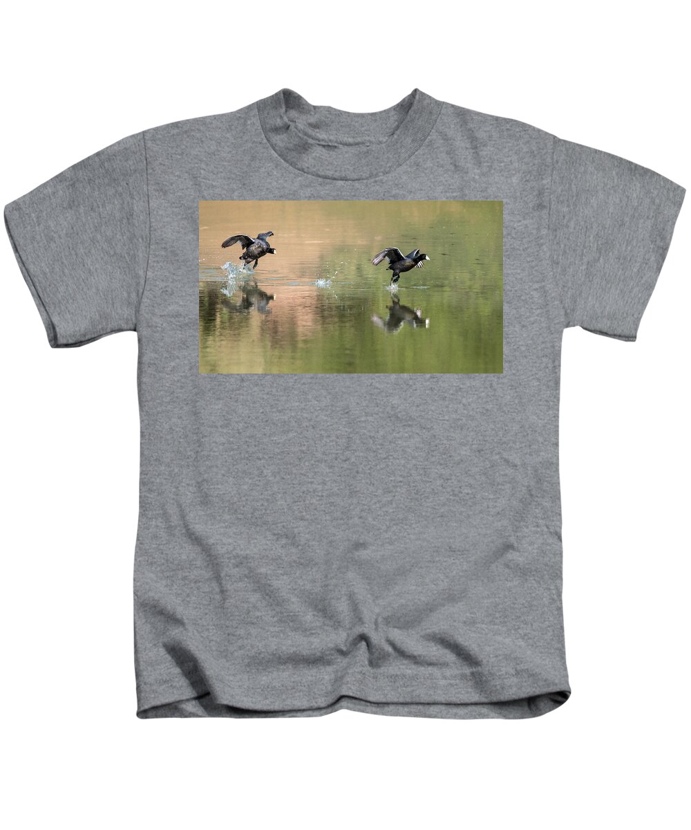 Coots Kids T-Shirt featuring the photograph The Race is On by Tam Ryan