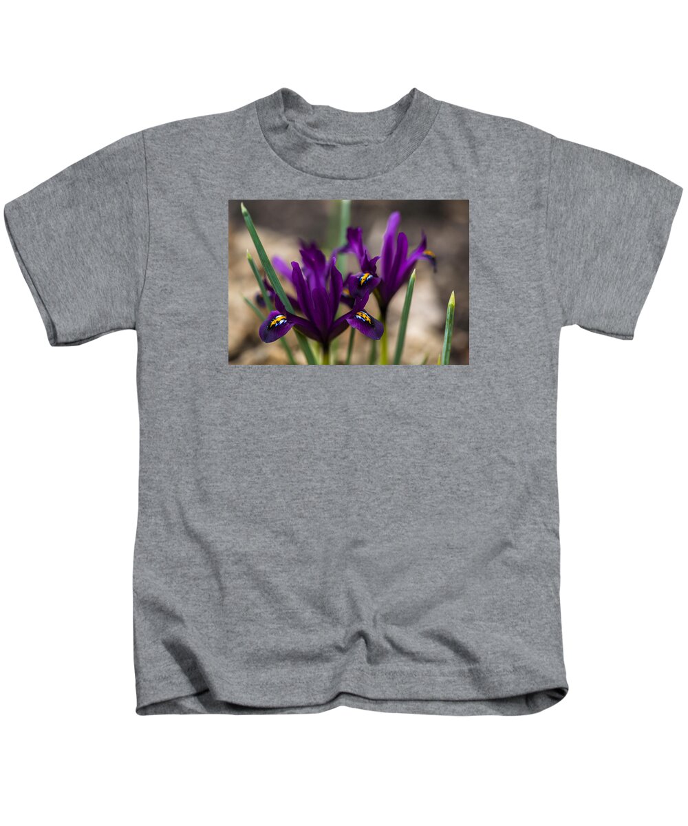  Kids T-Shirt featuring the photograph The rise of the Early Royal Dwarf Iris by Dan Hefle