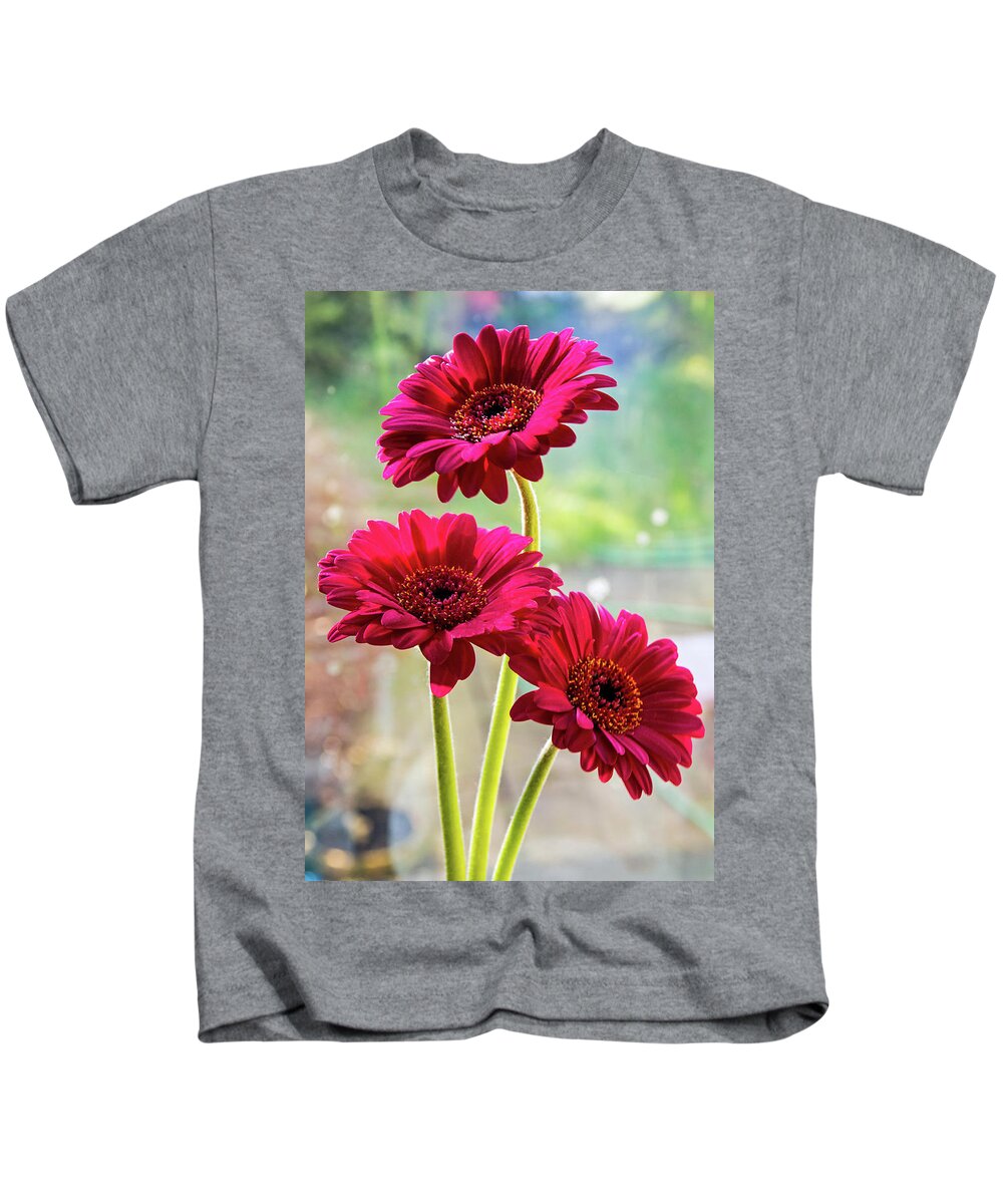 Flowers Kids T-Shirt featuring the photograph Three Gerbera Flowers by Jeff Townsend