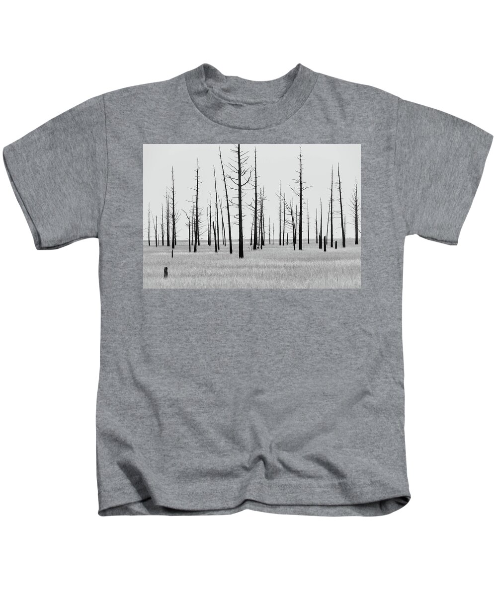 Landscape Kids T-Shirt featuring the photograph Trees Die off by Louis Dallara