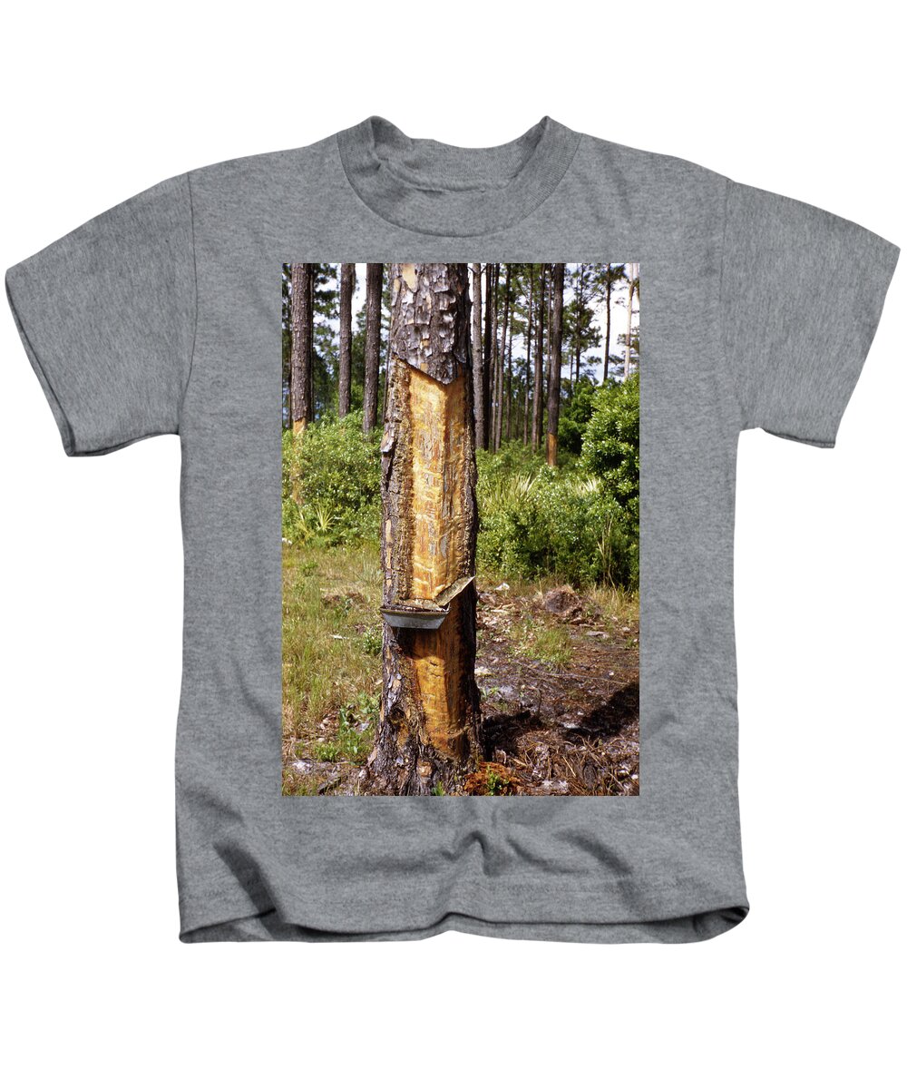 Turpentine Kids T-Shirt featuring the photograph Turpentine Tree by Marilyn Hunt