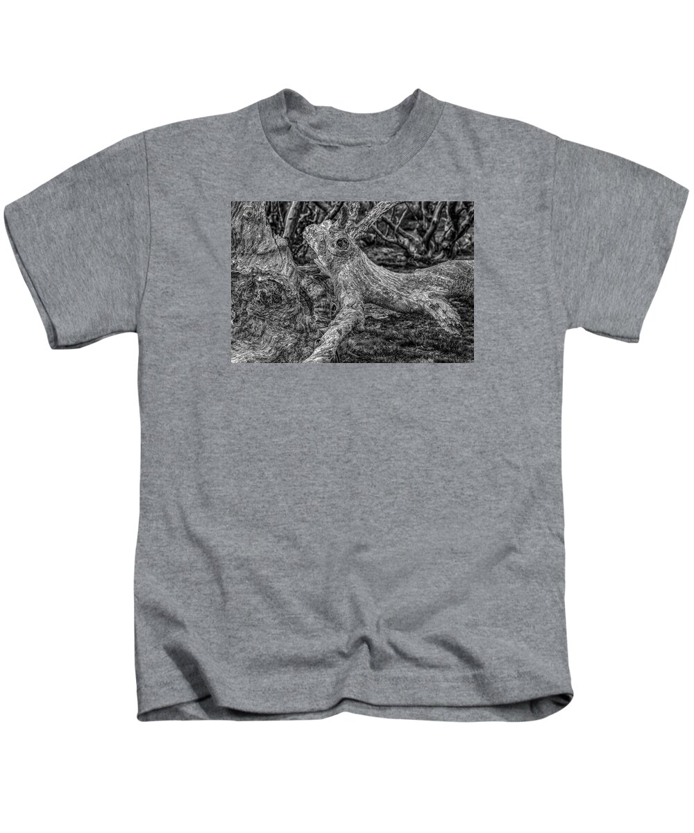 Alpine National Park Kids T-Shirt featuring the photograph Twisted by Mark Lucey