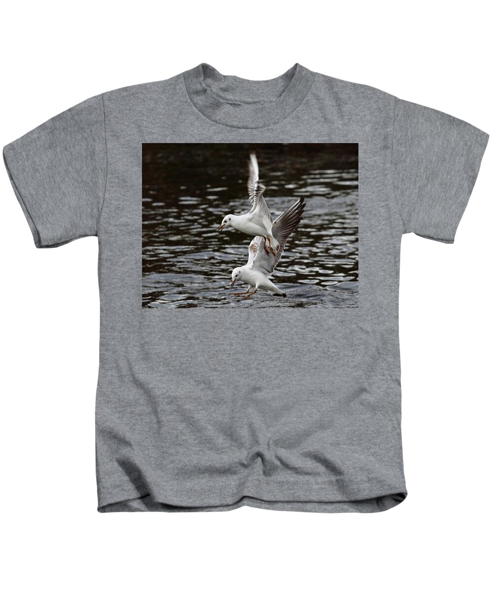 Birds Kids T-Shirt featuring the photograph Two Black Headed Gulls by Jeff Townsend