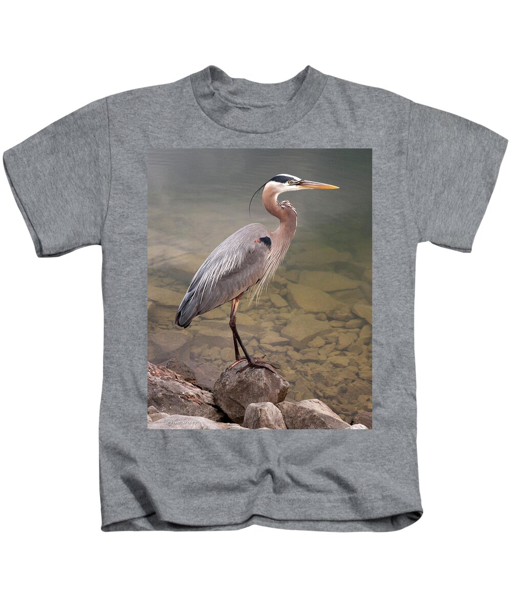 Blue Heron Kids T-Shirt featuring the photograph Waiting by Terri Harper