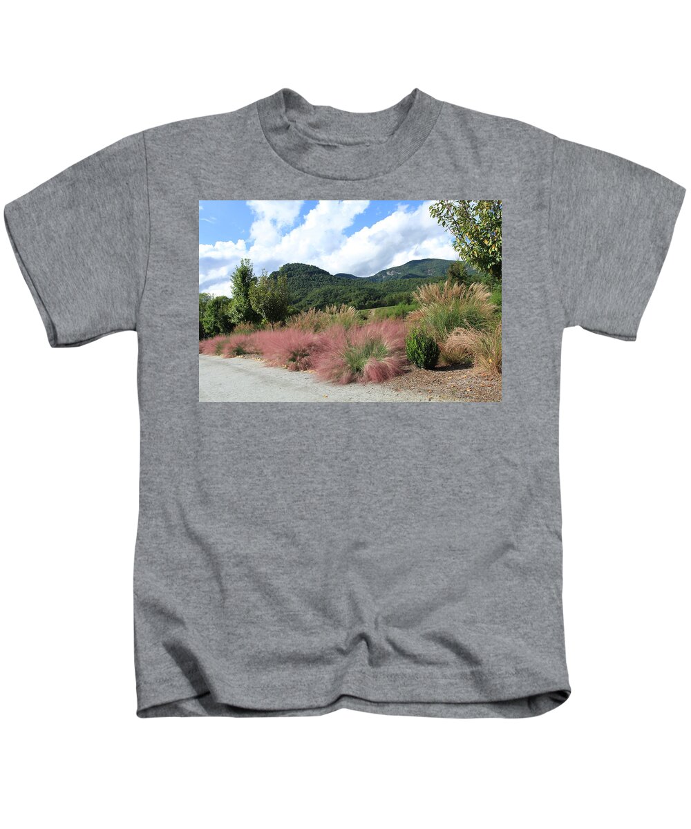 Lake Lure Kids T-Shirt featuring the photograph Walk along Lake Lure by Karen Ruhl