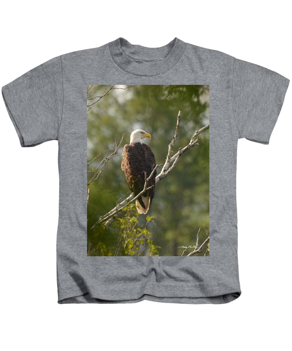 Bird Kids T-Shirt featuring the photograph Watching Eagle by Harry Moulton