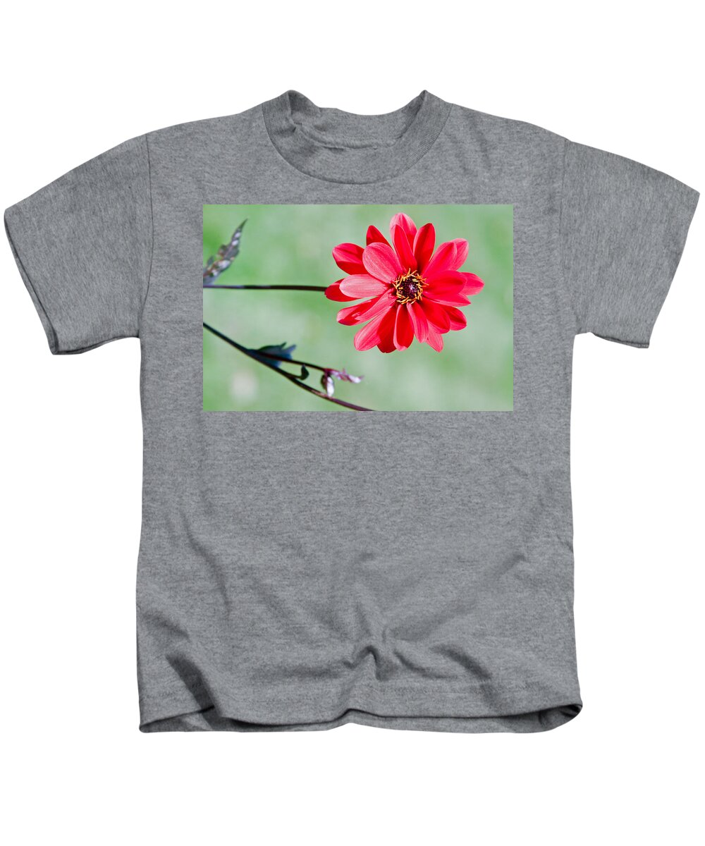 Photographic Art Kids T-Shirt featuring the photograph Weir Farm Blossom by Rick Locke - Out of the Corner of My Eye