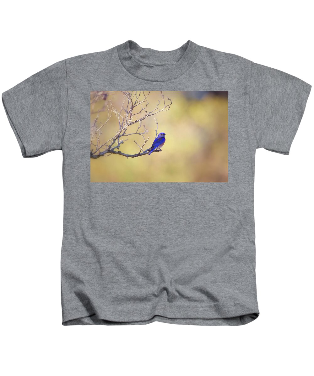 Bluebird Kids T-Shirt featuring the photograph Western Bluebird on Bare Branch by Susan Gary