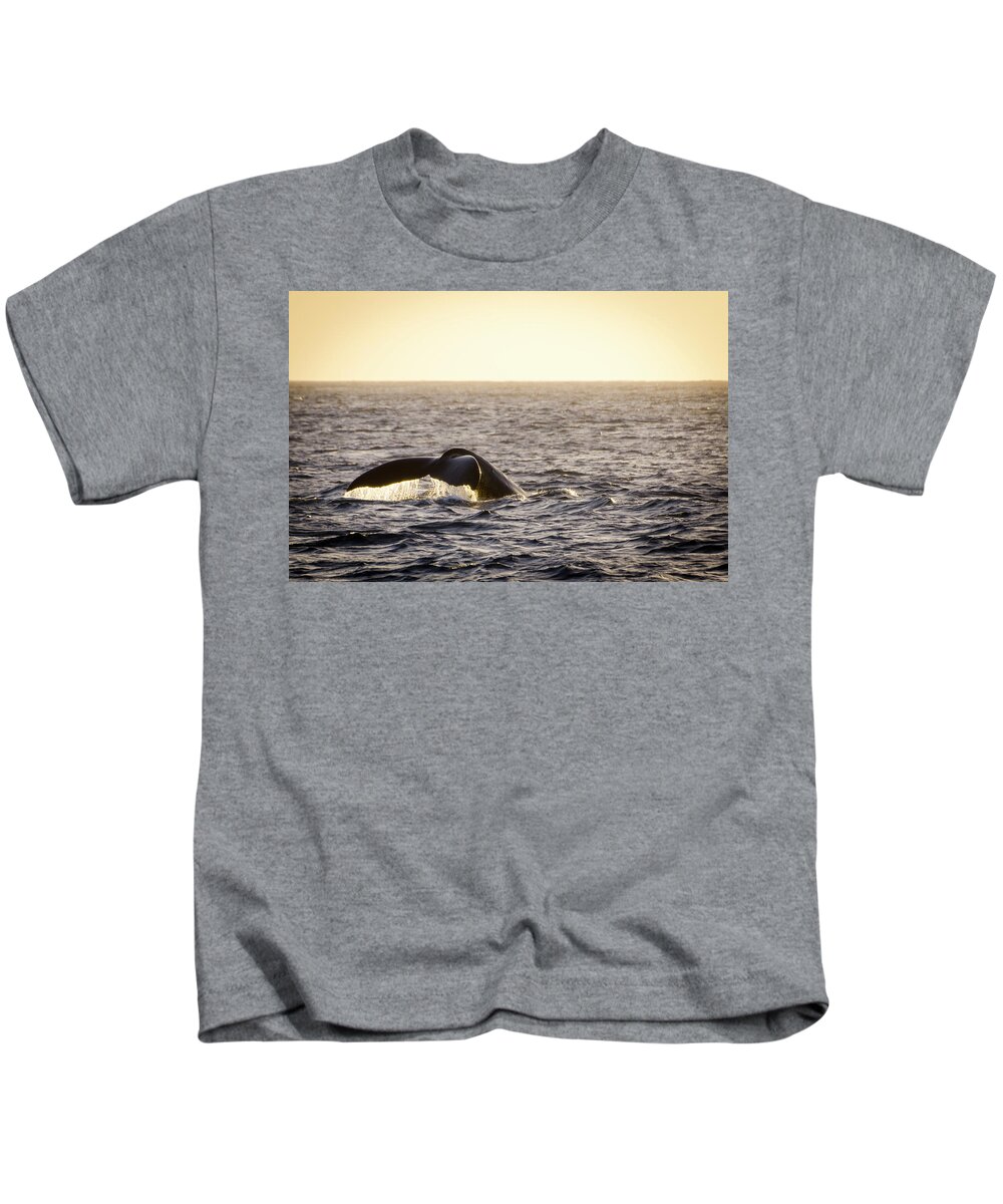 Animals Kids T-Shirt featuring the photograph Whale Fluke by Daniel Murphy
