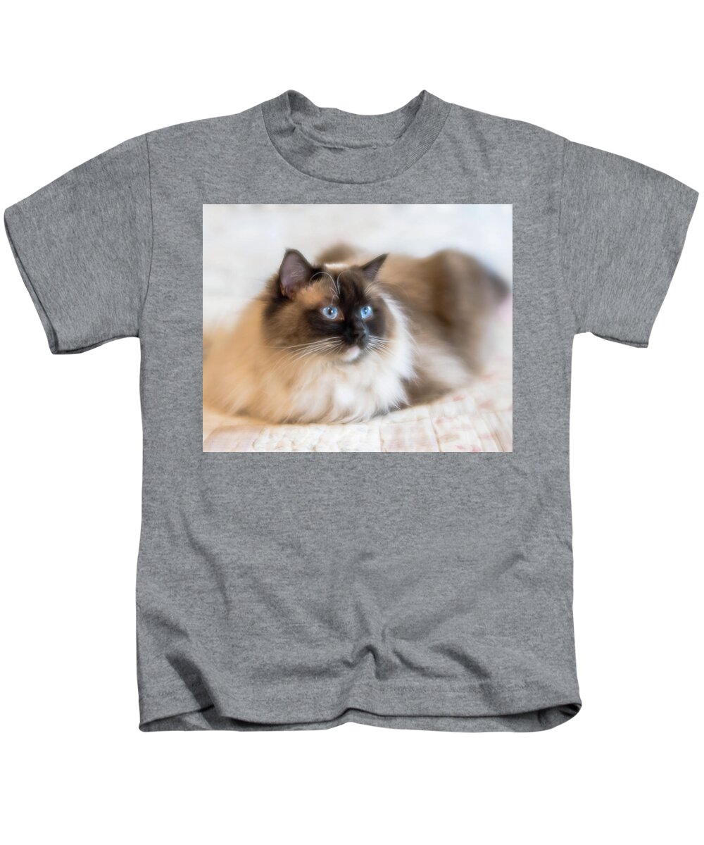 Ragdoll Kids T-Shirt featuring the photograph What Does She See by Jennifer Grossnickle