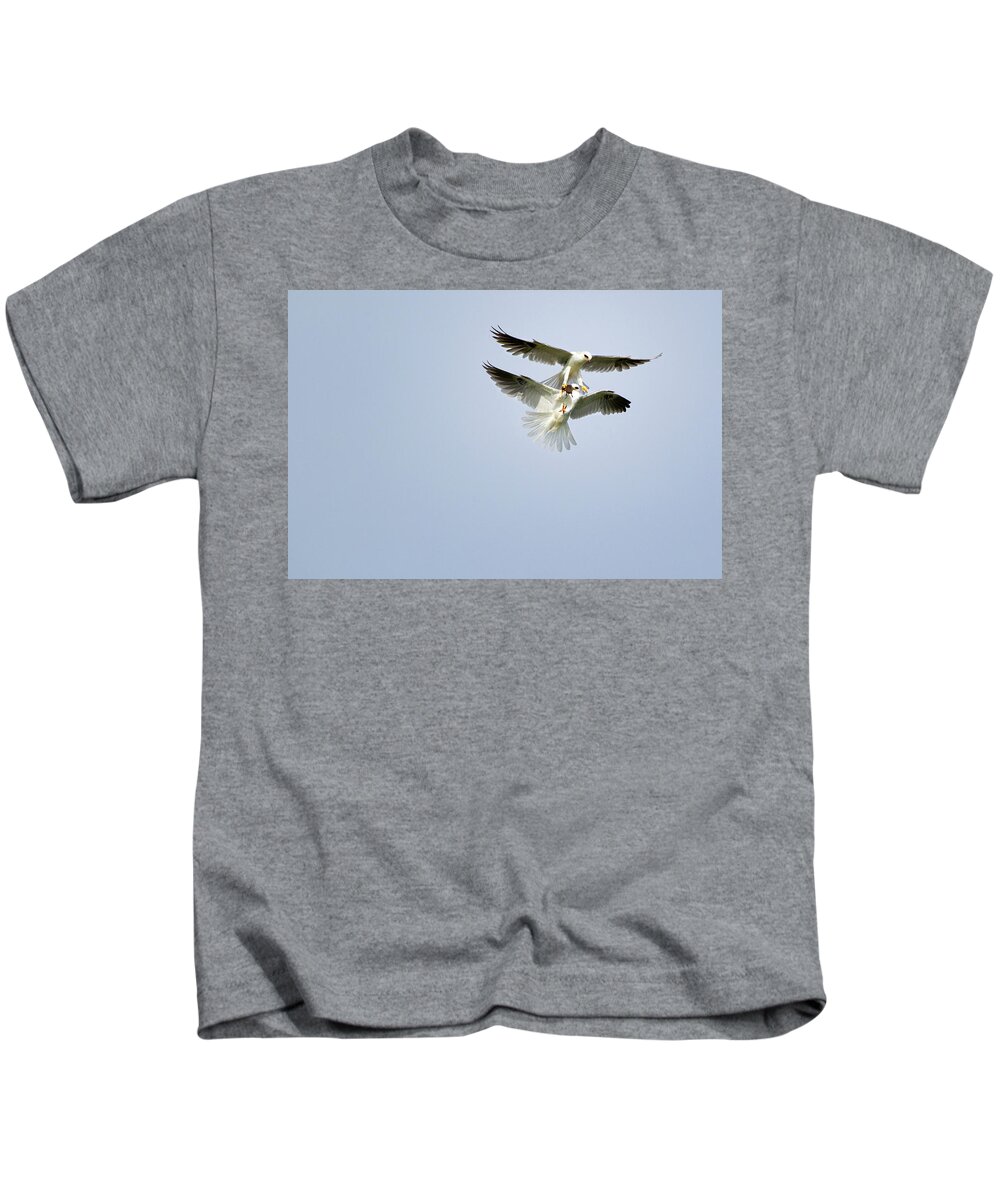 White-tailed Kites Kids T-Shirt featuring the photograph White-Tailed Kites Food Exchange by Susan Gary