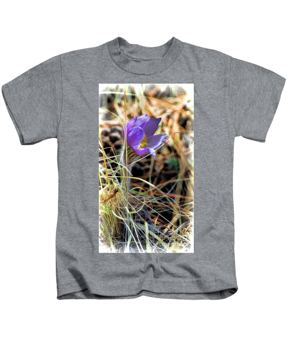 Pasque Flower Kids T-Shirt featuring the photograph Wild Crocus by Jim Garrison