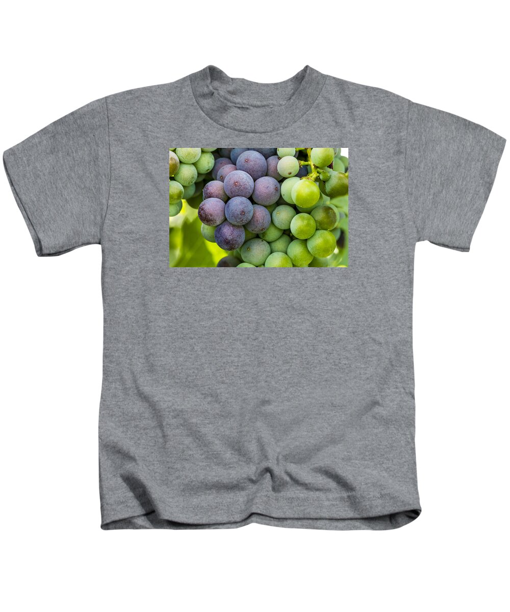 Colorado Vineyard Kids T-Shirt featuring the photograph Wine Grapes Close up by Teri Virbickis