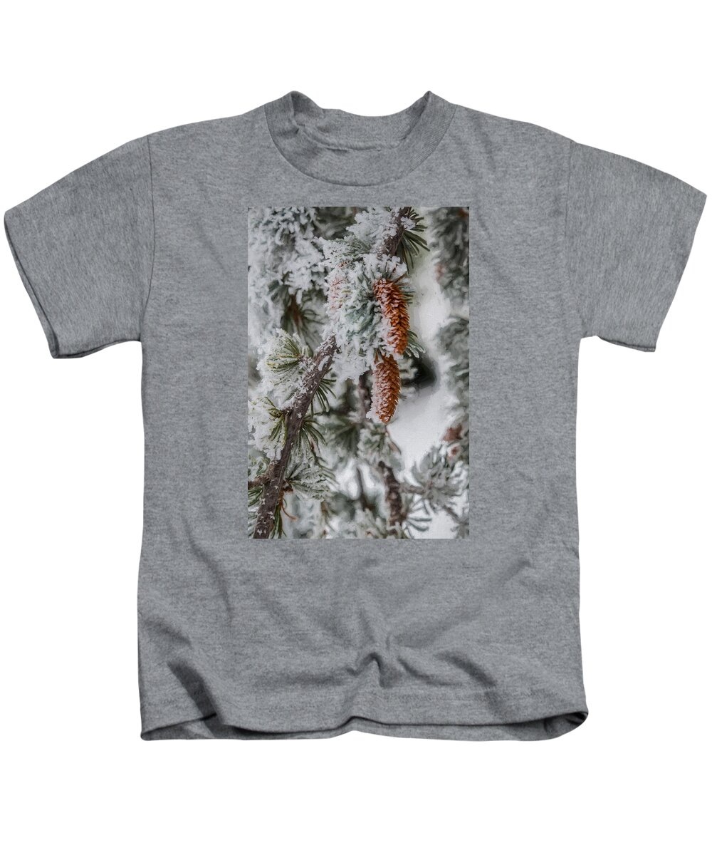 Architectural Photographer Kids T-Shirt featuring the photograph Winter Pine Cones by Lou Novick