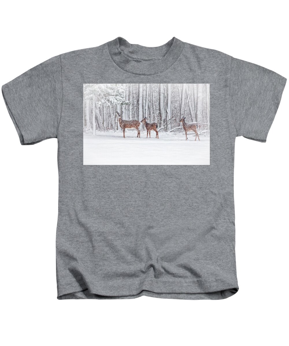 Deer Kids T-Shirt featuring the photograph Winter Visits by Karol Livote