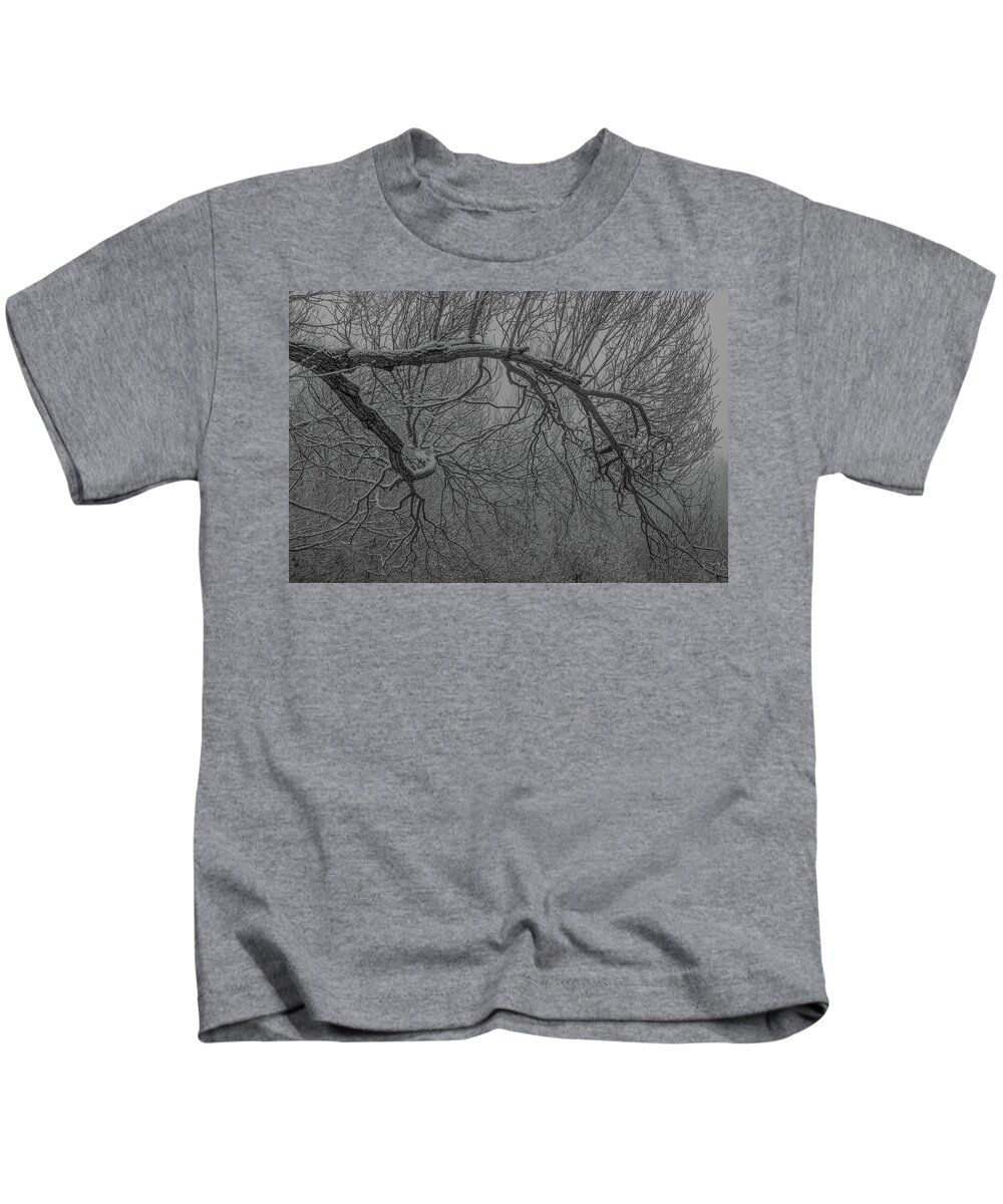 Tree Kids T-Shirt featuring the photograph Wintery Tree by Jedediah Hohf