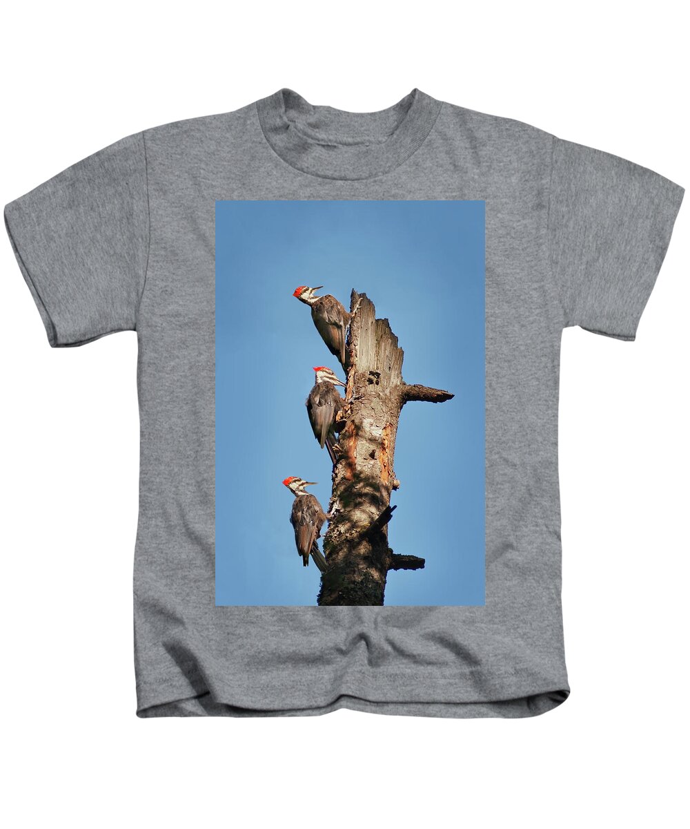Bird Kids T-Shirt featuring the photograph Woodpecker Trio by John Christopher