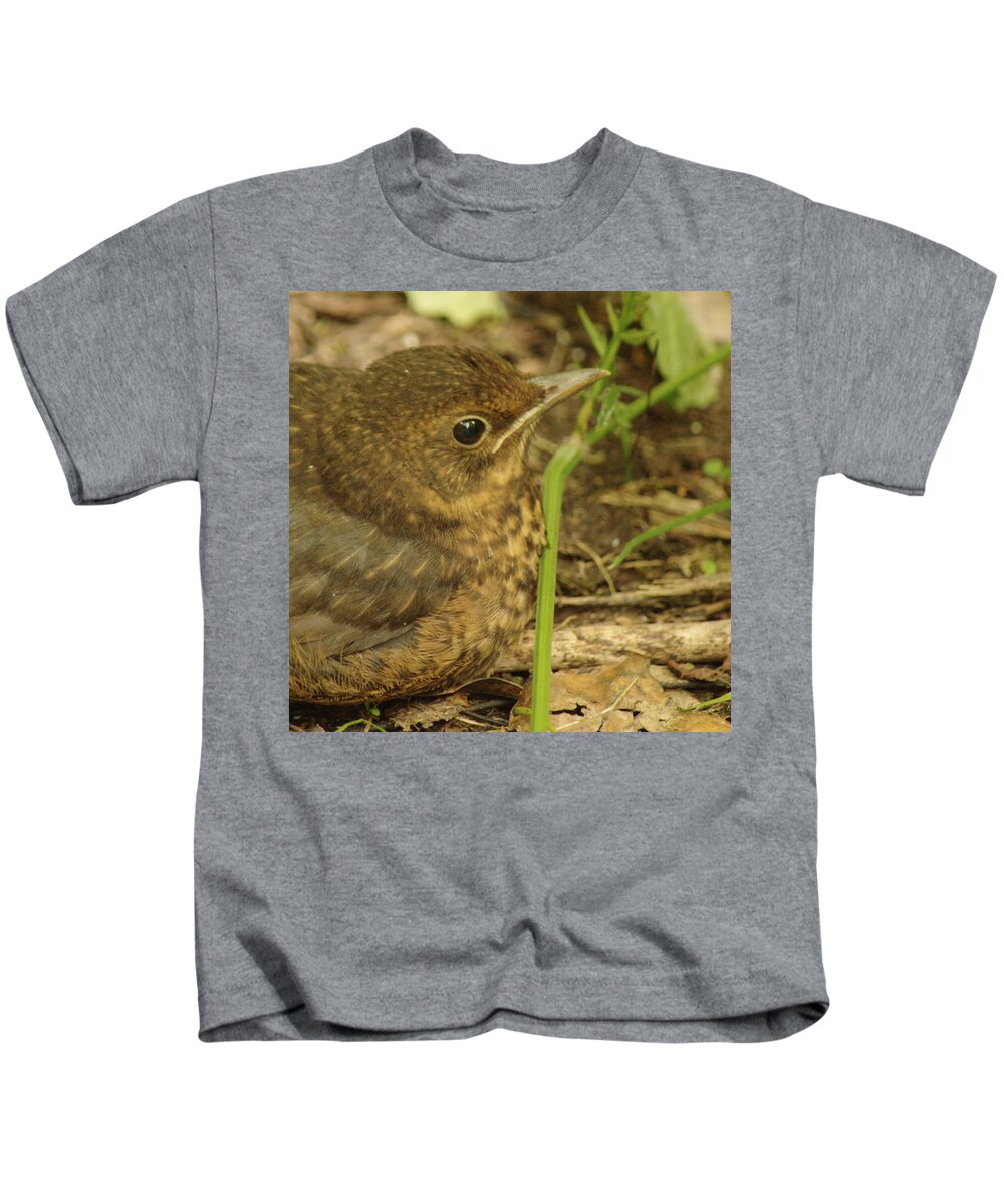 Young Kids T-Shirt featuring the photograph Young Blackbird Closeup by Adrian Wale