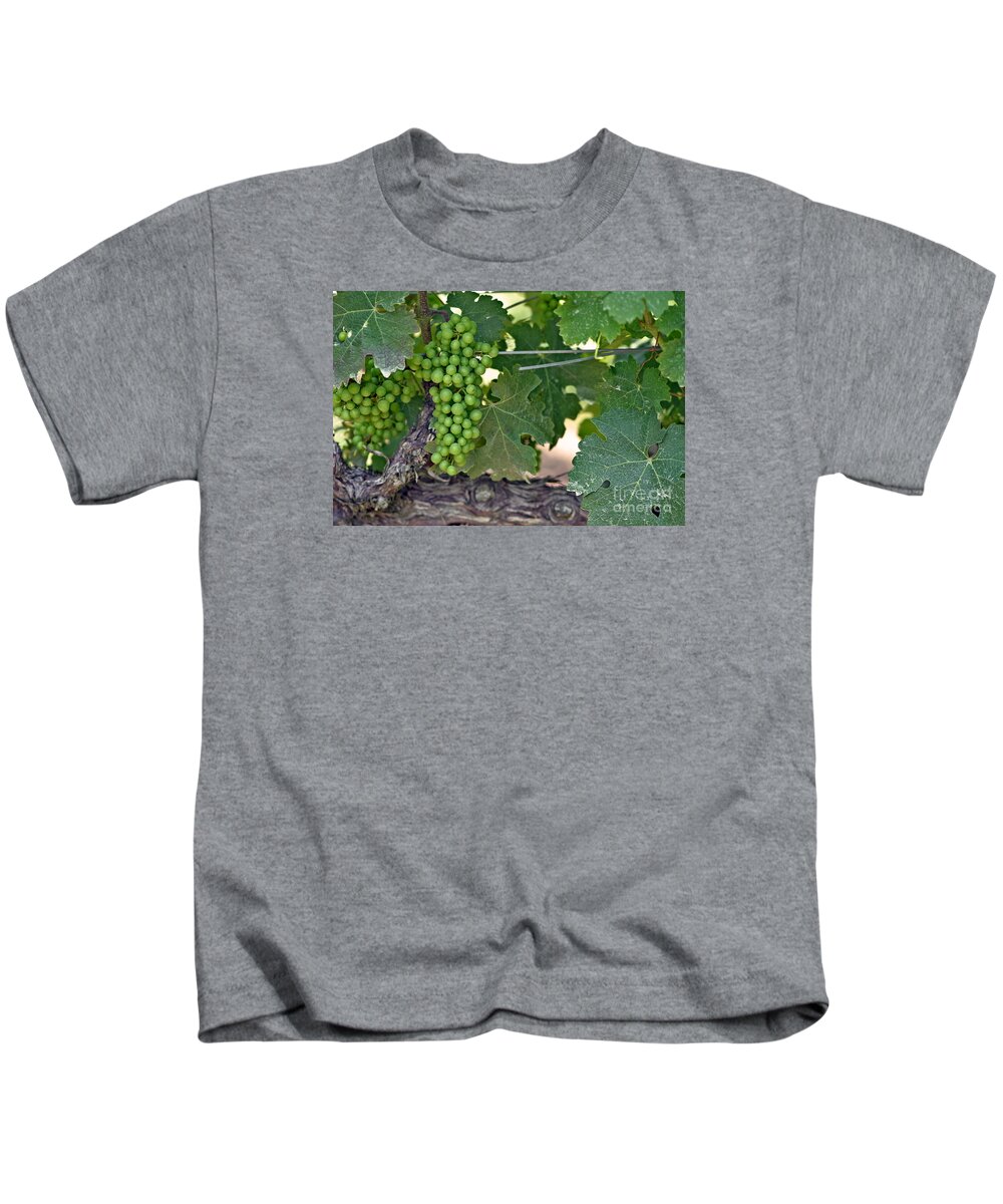 Plant Kids T-Shirt featuring the photograph Young Grapes by Kathy Strauss