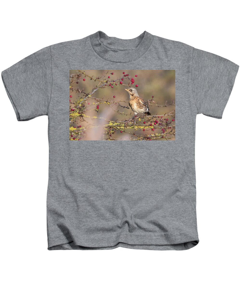 Flyladyphotographybywendycooper Kids T-Shirt featuring the photograph Fieldfare #2 by Wendy Cooper