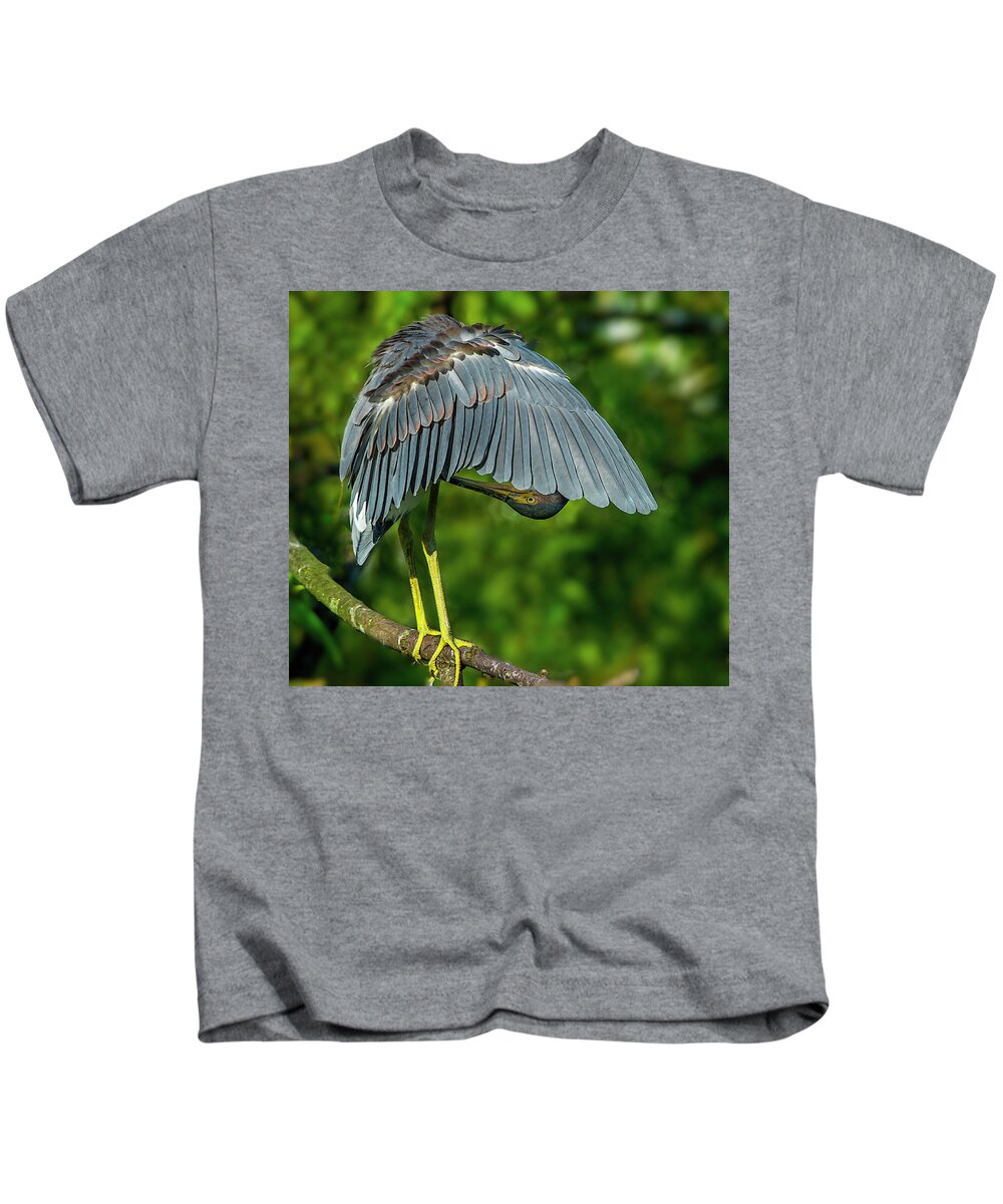 Birds Kids T-Shirt featuring the photograph Preening Reddish Heron #1 by Donald Brown