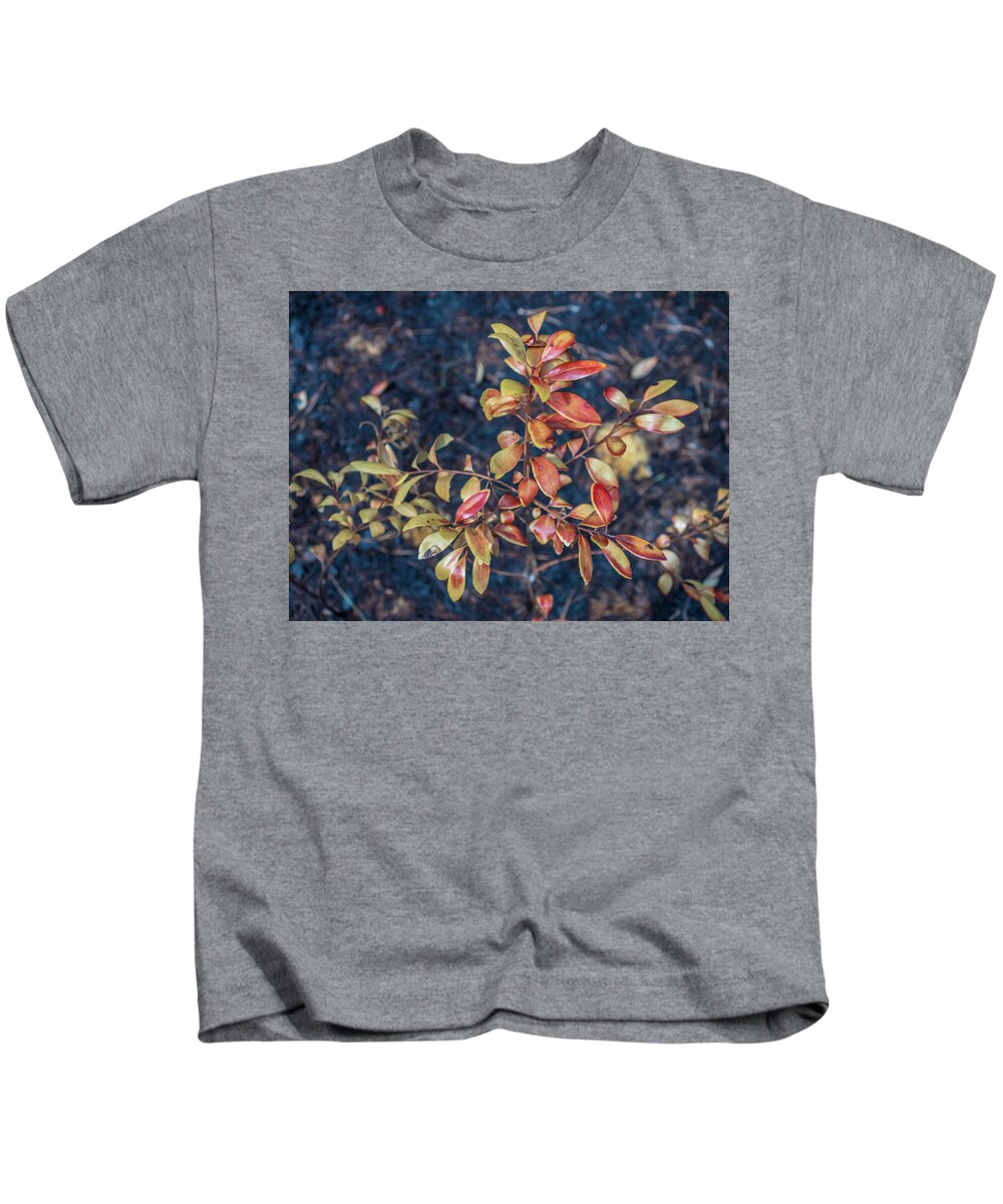 Barrens Kids T-Shirt featuring the photograph Pine Barrens Burn #2 by Louis Dallara