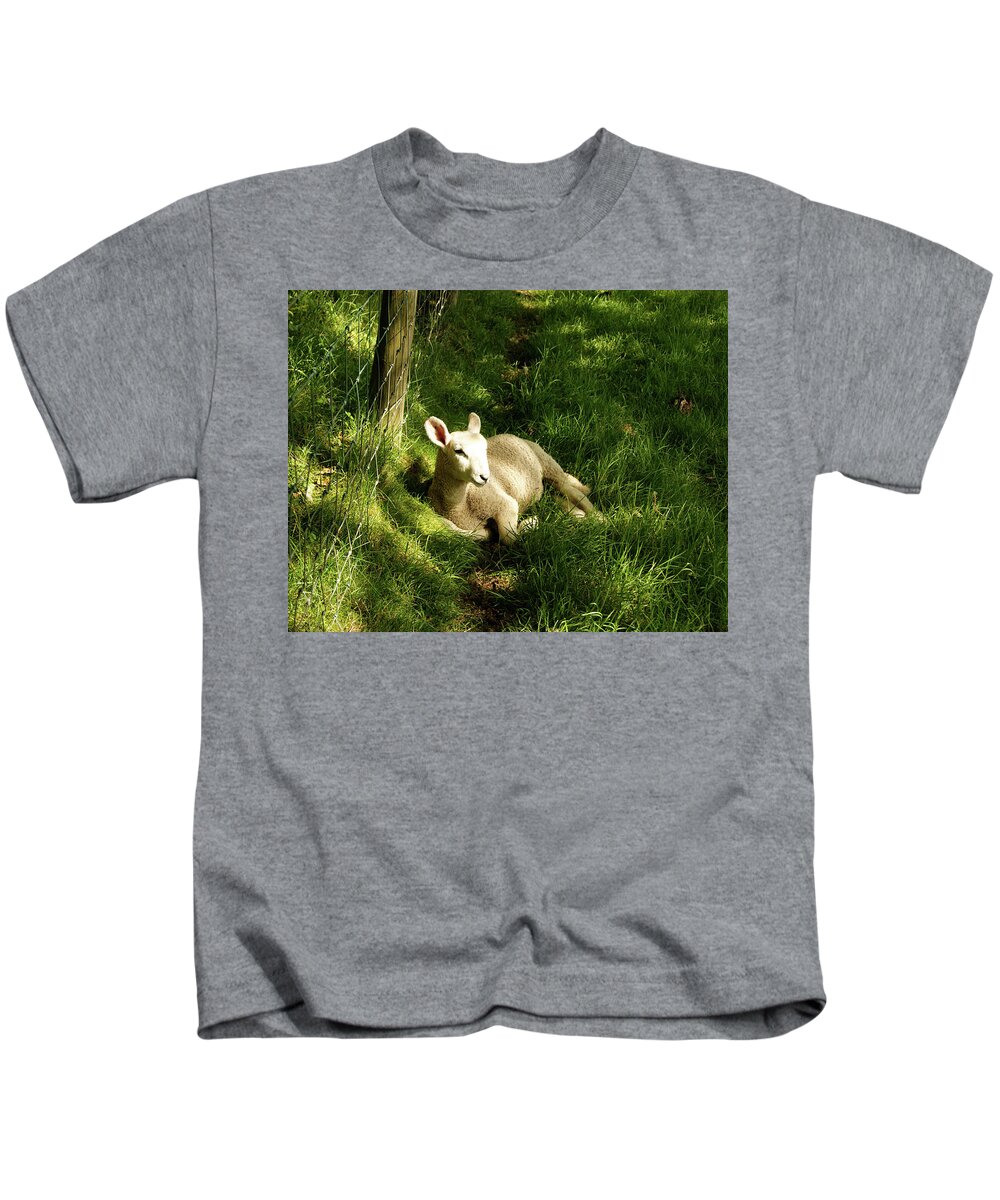 Cumbria Kids T-Shirt featuring the photograph 20/06/14 KESWICK. Lamb In The Woods. by Lachlan Main