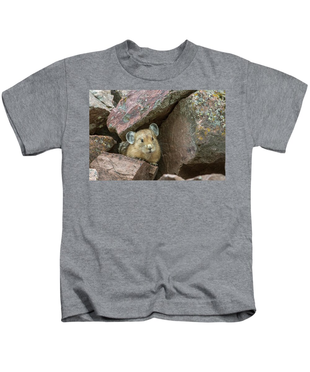 Jeff Foott Kids T-Shirt featuring the photograph American Pika Amid Rocks by Jeff Foott