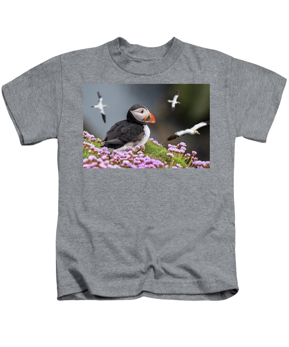 Atlantic Puffin Kids T-Shirt featuring the photograph Atlantic Puffin and Soaring Gannets by Arterra Picture Library