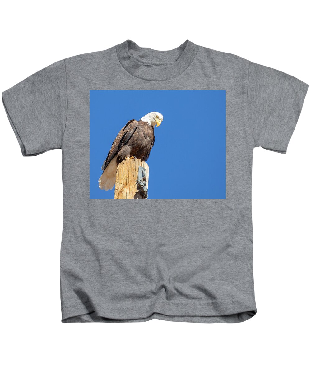 Bald Eagle Kids T-Shirt featuring the photograph Bald Eagle Perched on Pole by Lowell Monke