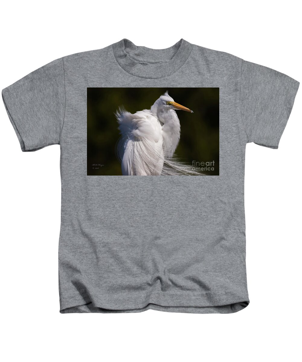 Egrets Kids T-Shirt featuring the photograph Beauty In The Wind by DB Hayes
