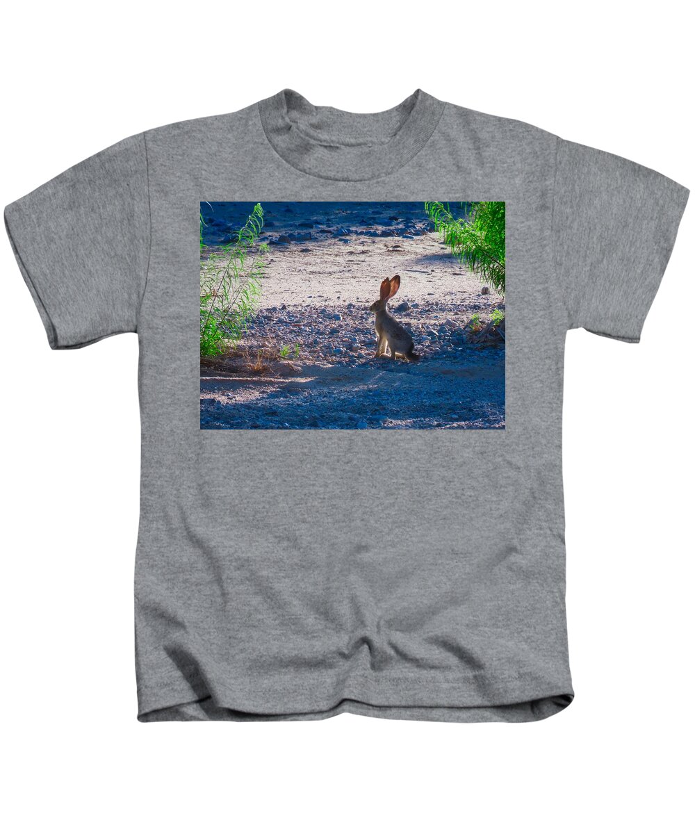 Arizona Kids T-Shirt featuring the photograph Black-Tailed Jackrabbit in a Desert Wash by Judy Kennedy